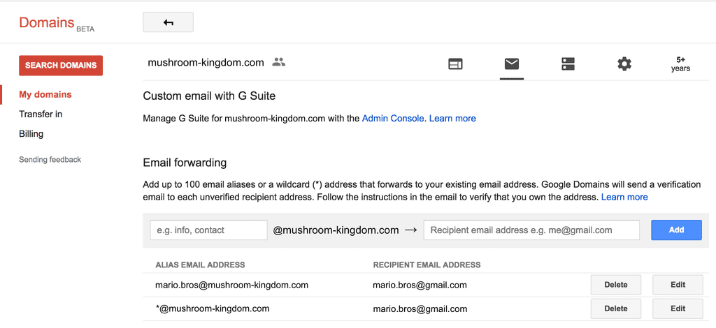 Google Domains email forwarding settings